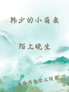 韩少的小萌妻